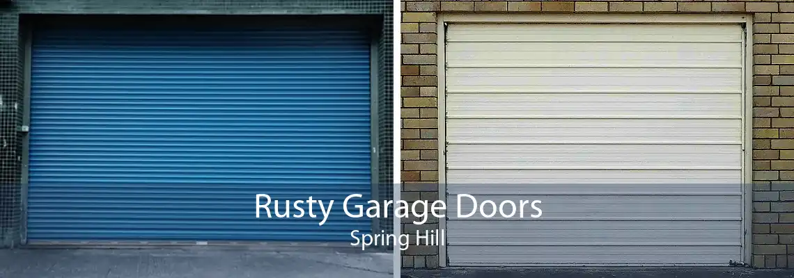 Rusty Garage Doors Spring Hill
